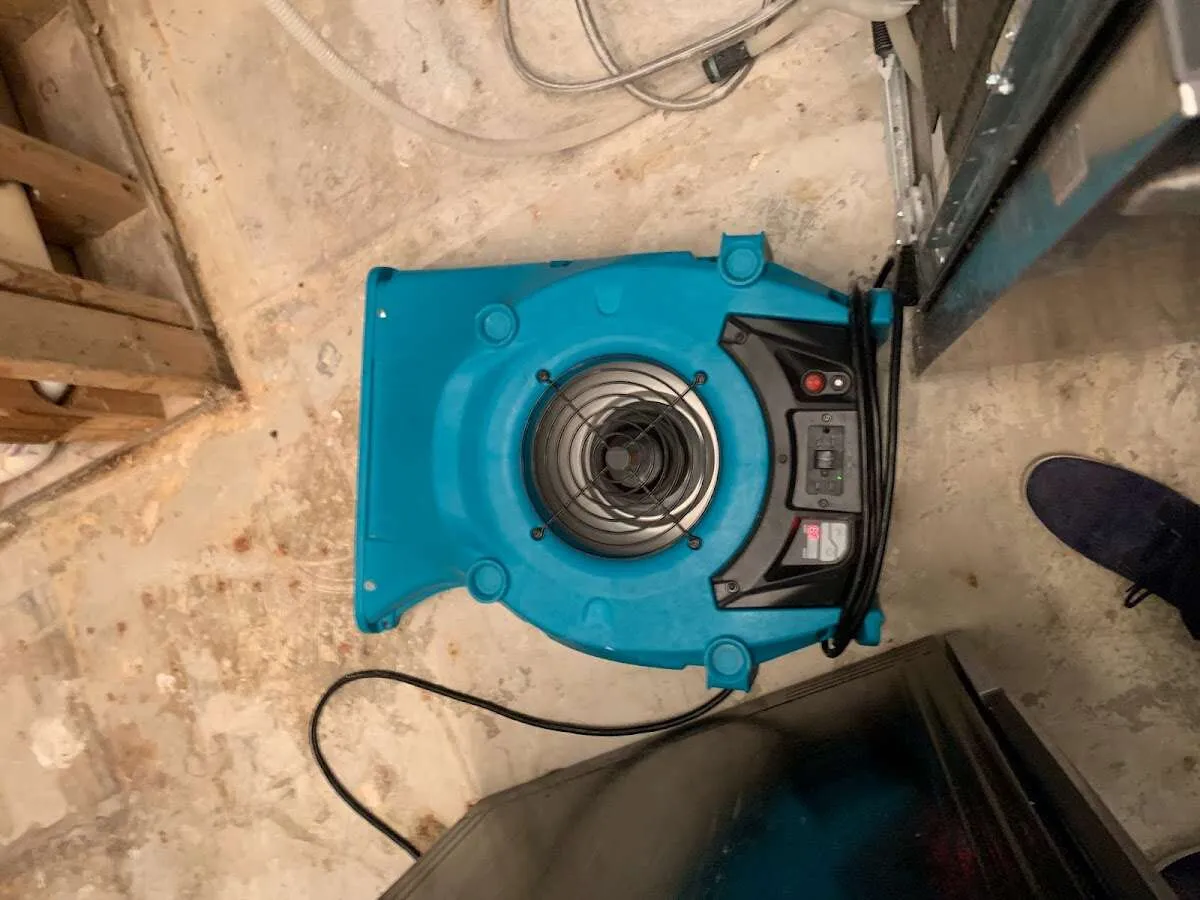 Air mover drying equipment for Mold Remediation & Removal in Pleasant Hills